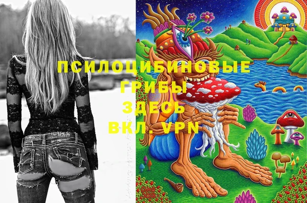 прущая мука Алапаевск