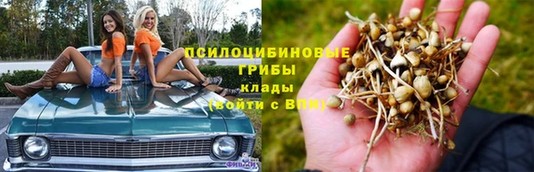 прущие крисы Михайловск